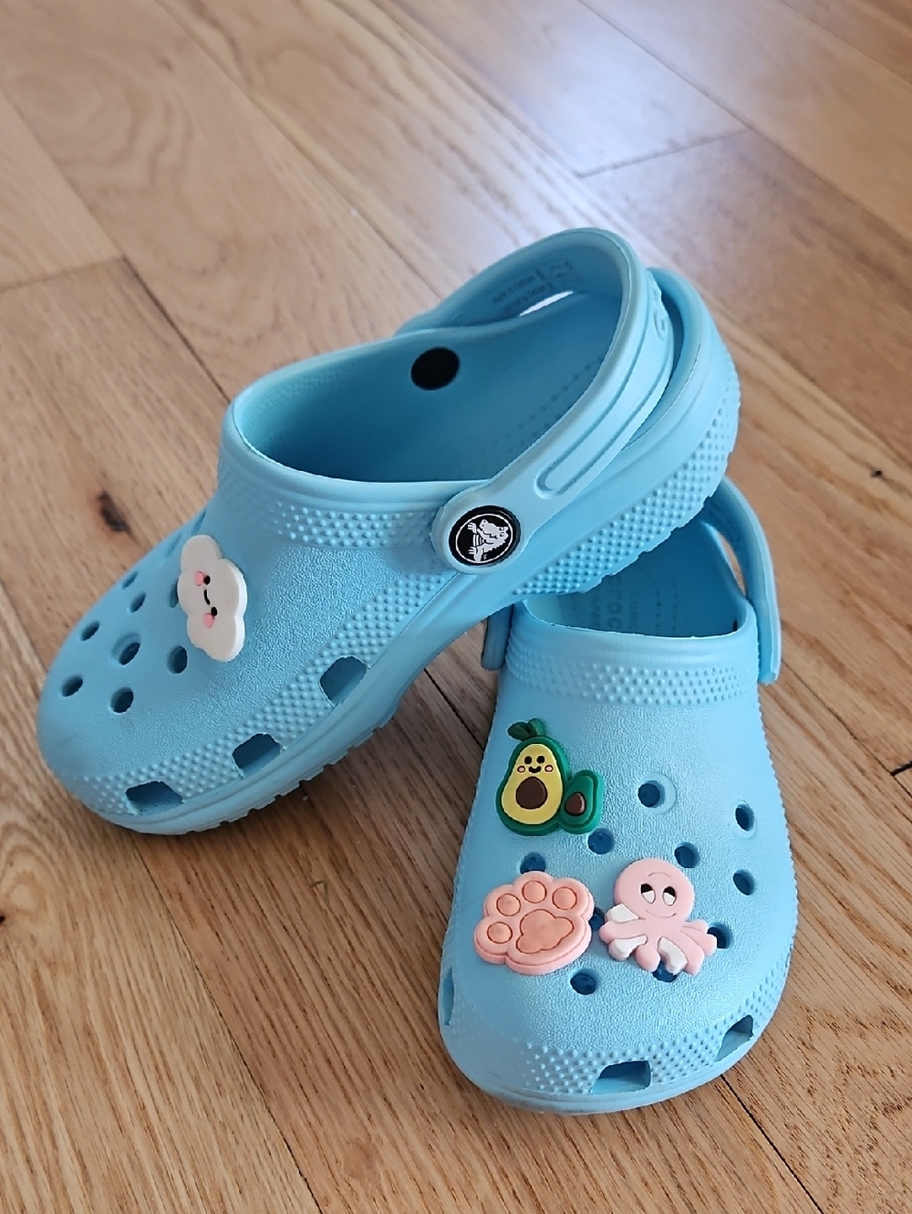 Kid's Crocs Blue Size 12